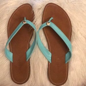 Talbots Blue Seashell Flip Flops